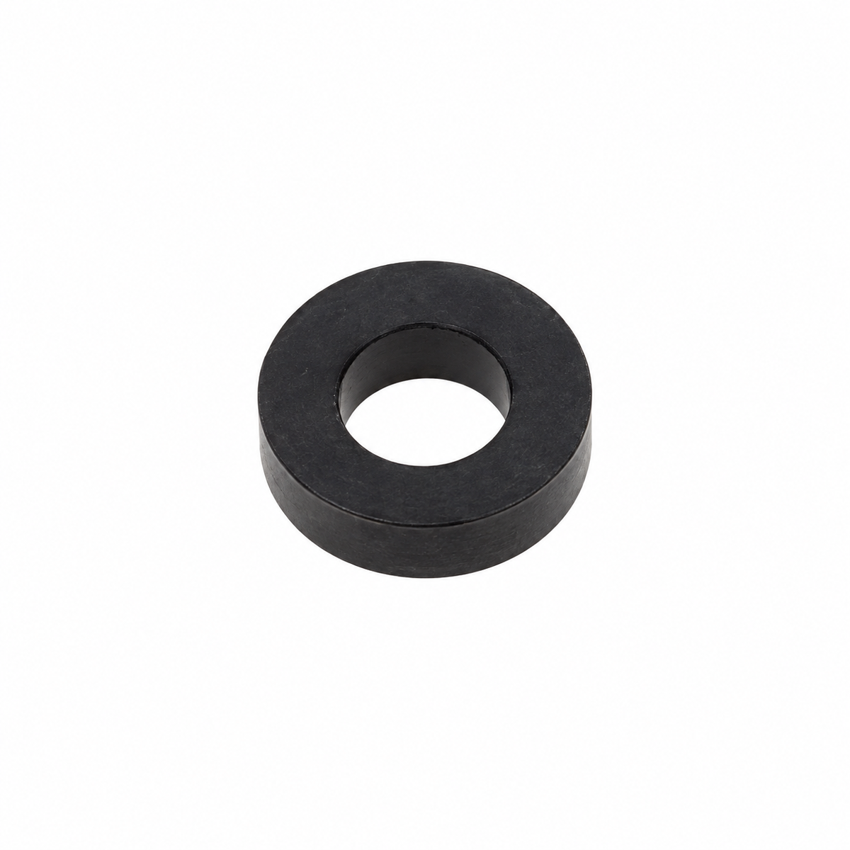 Fuel Pump Mount Washer