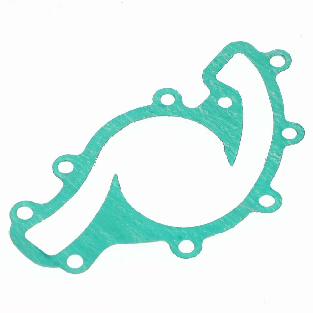 Gasket Water Pump Serpentine