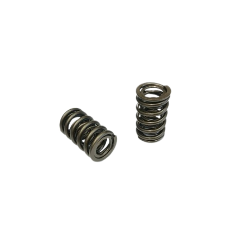 AJP V8 Valve Spring Set