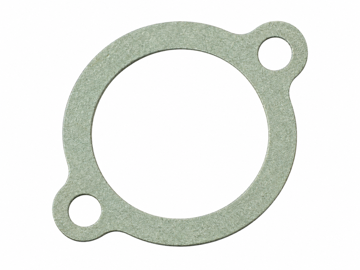 Thermostat gasket