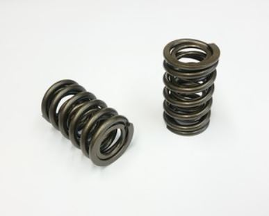 AJP V8 Valve Spring Set