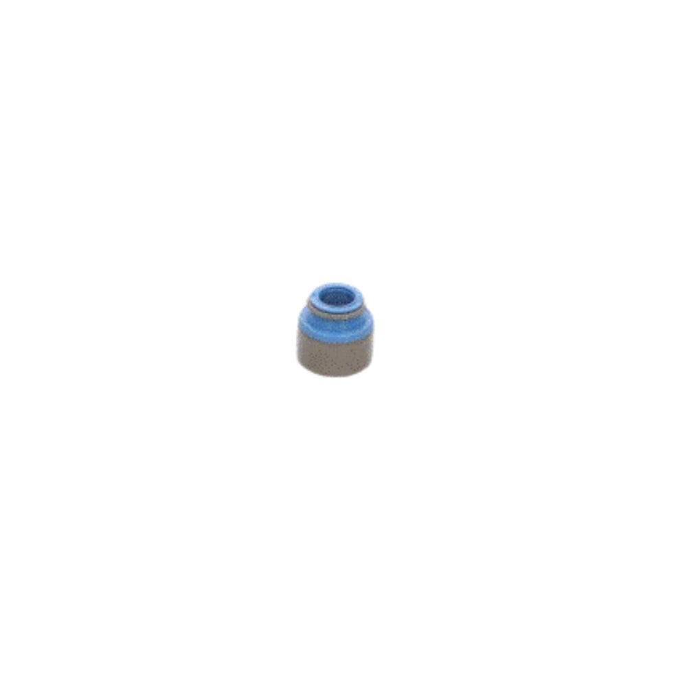 TVR Sagaris - VALVE STEM SEAL SPEED 6 6MM (TVR E6030 6MM)