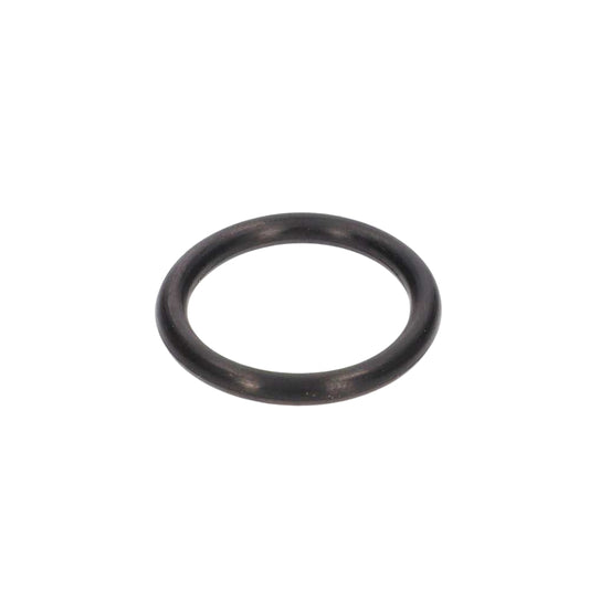 TVR Cerbera Speed 6 - O ring (TVR E1270)