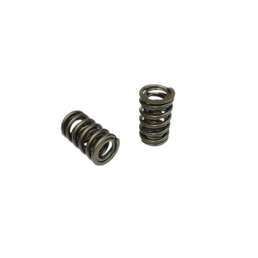 AJP V8 Valve Spring Set