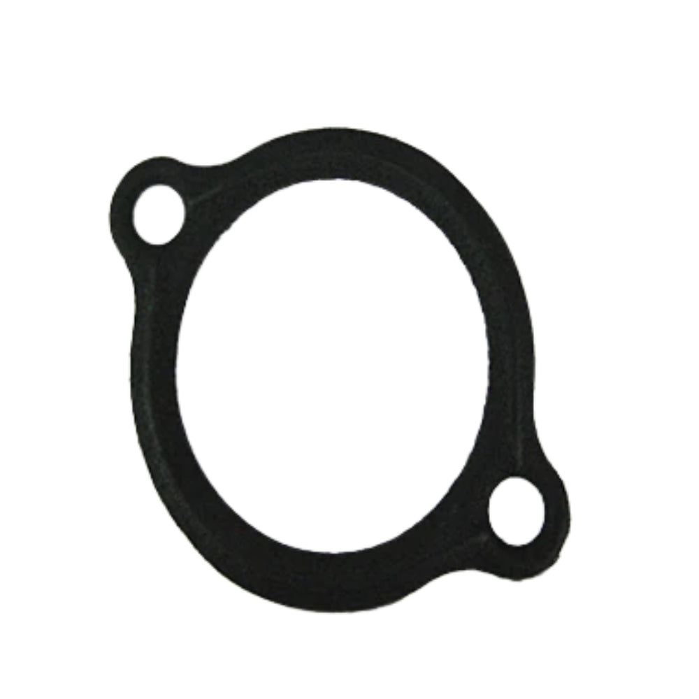 Thermostat Gasket TVR