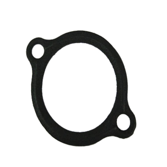 Thermostat Gasket TVR