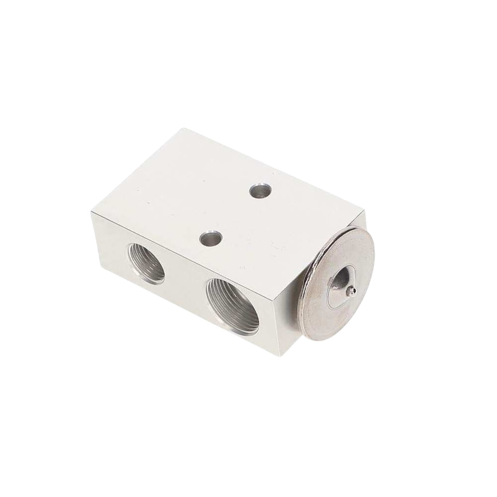 TVR Tuscan - Air-conditioning expansion valve (TVR P0224)